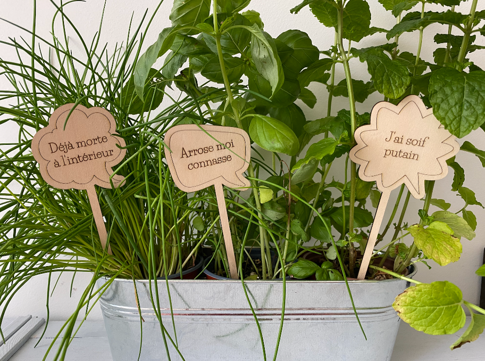 Plant tag