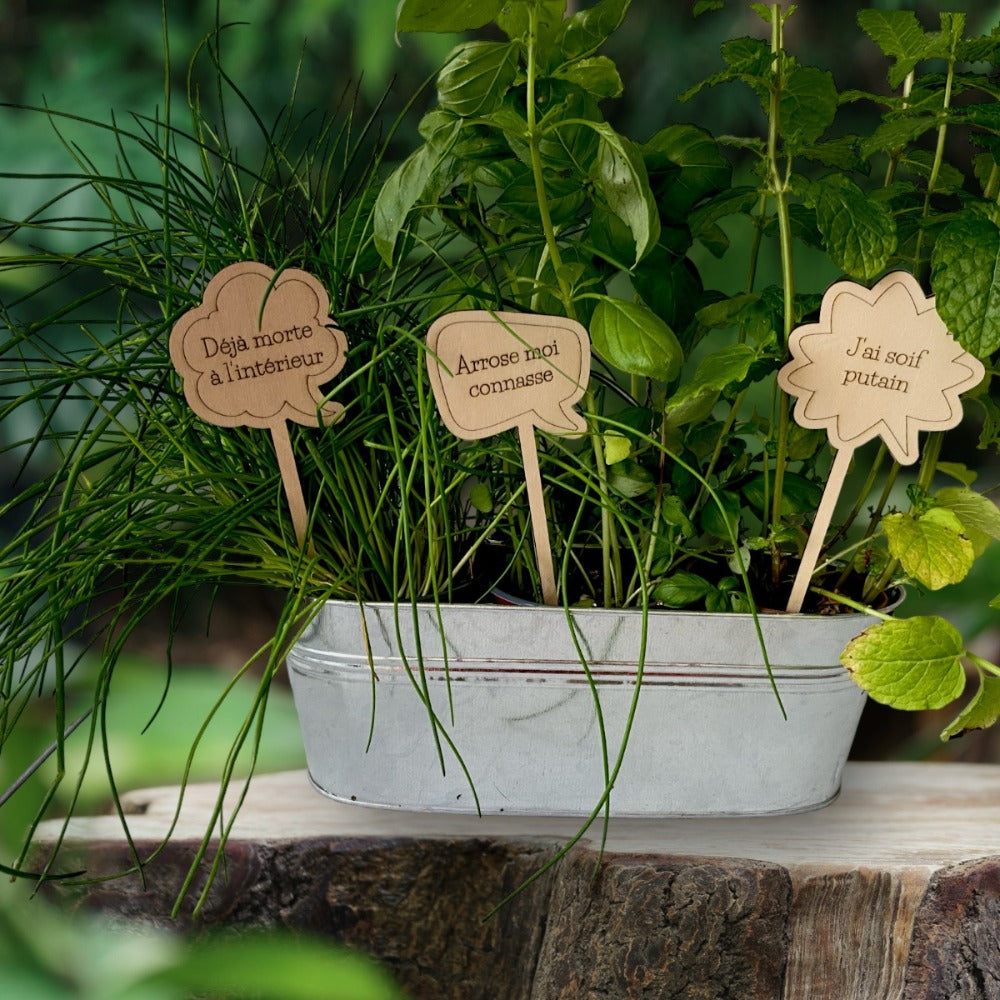 Plant tag